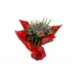 Bouquet Chocolat 7 tiges