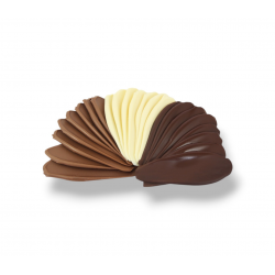 Chips chocolat