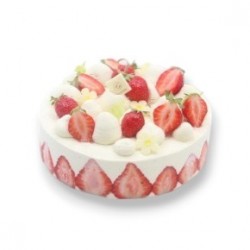 Fraisier