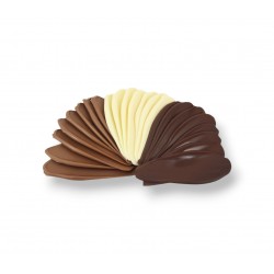 Chips chocolat