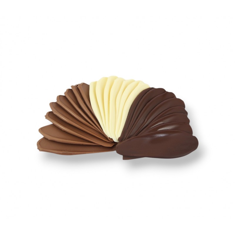 Chips chocolat