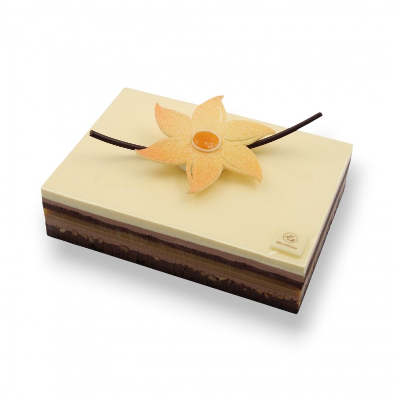 Passion chocolat (sans gluten) Passion chocolat (sans gluten)