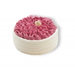 Vacherin revisité vanille-fraise (sans gluten)