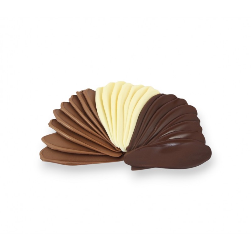 Chips chocolat