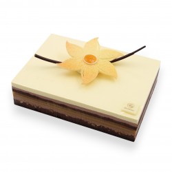 Passion chocolat (sans gluten)