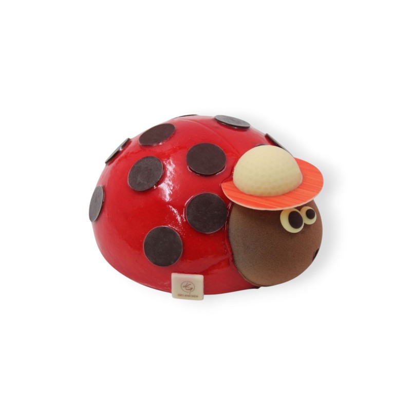Sorbet / Coccinelle (sans gluten)