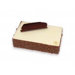 Glace / Bailey
